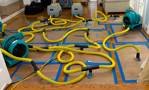 Professional Basement Flood Cleanup technician working in Tremont, PA